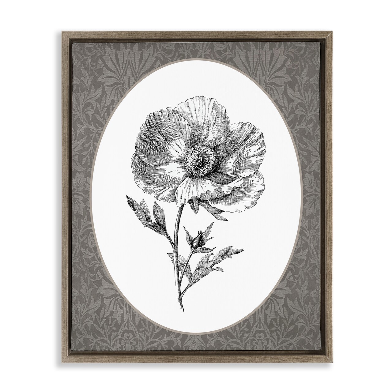 Stupell Industries Anemone Sprig Vignette Floating Frame By Lettered and Lined